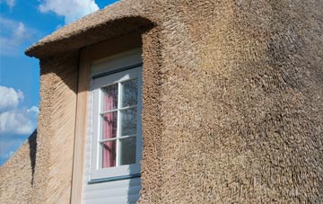 Pencarreg thatch roof disadvantages